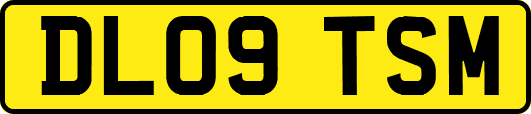 DL09TSM