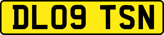 DL09TSN
