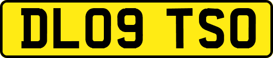 DL09TSO
