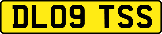 DL09TSS