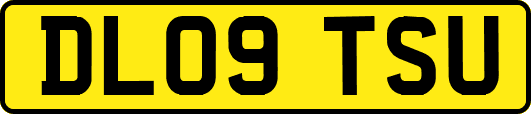 DL09TSU