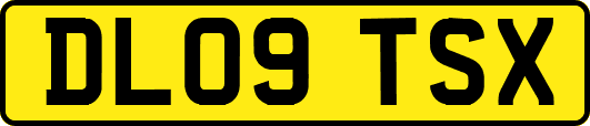 DL09TSX