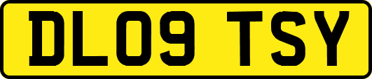 DL09TSY
