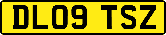 DL09TSZ