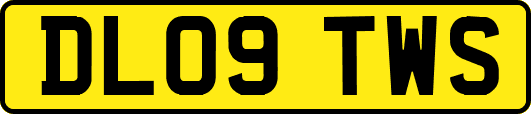 DL09TWS