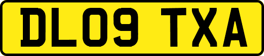 DL09TXA