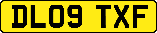 DL09TXF