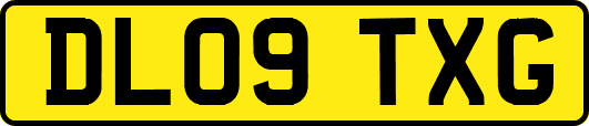DL09TXG
