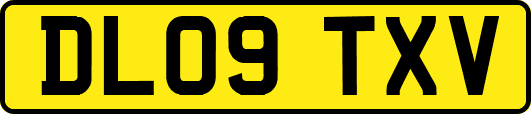 DL09TXV