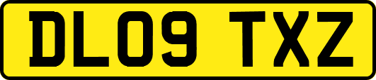 DL09TXZ