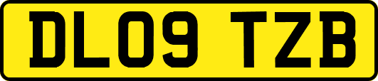 DL09TZB