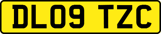 DL09TZC