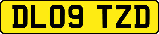 DL09TZD