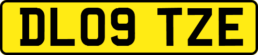 DL09TZE
