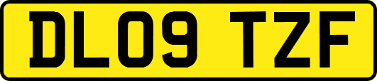 DL09TZF
