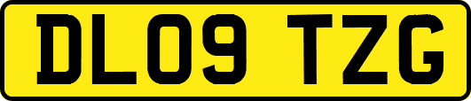 DL09TZG