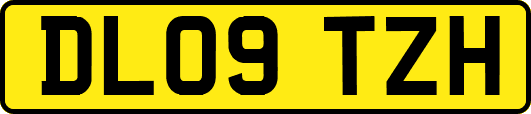 DL09TZH