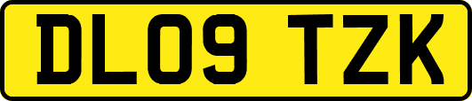 DL09TZK