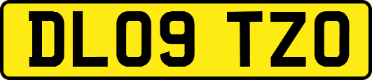 DL09TZO