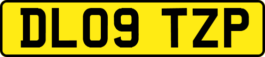 DL09TZP