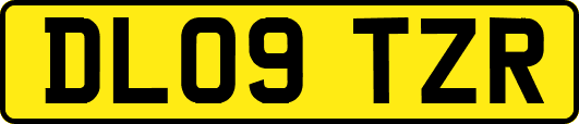DL09TZR