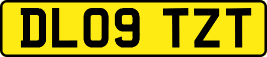 DL09TZT