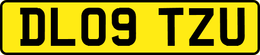DL09TZU