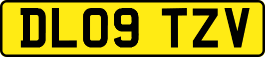 DL09TZV