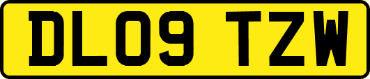 DL09TZW