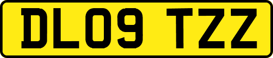 DL09TZZ