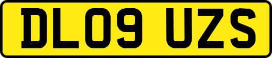 DL09UZS