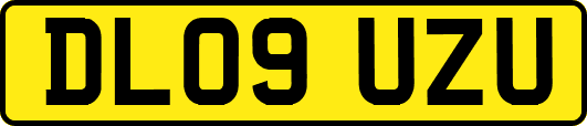 DL09UZU
