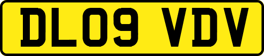 DL09VDV