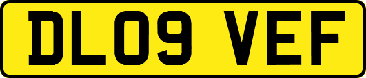 DL09VEF