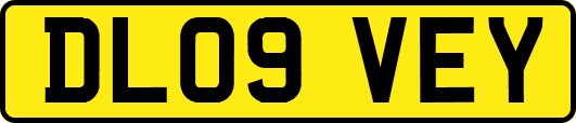 DL09VEY