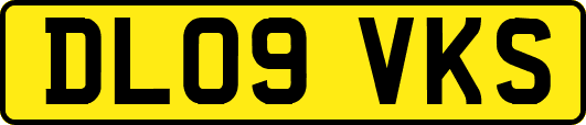 DL09VKS