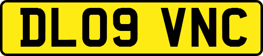 DL09VNC