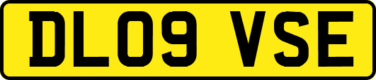 DL09VSE