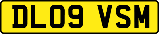 DL09VSM