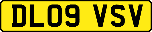 DL09VSV