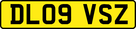 DL09VSZ