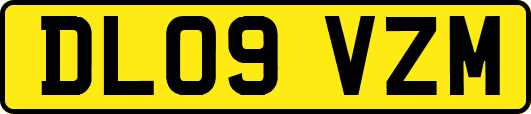 DL09VZM