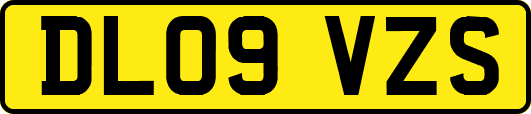 DL09VZS