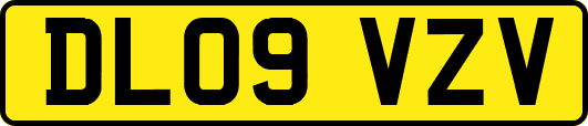 DL09VZV