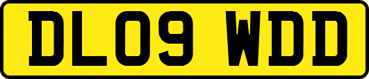 DL09WDD