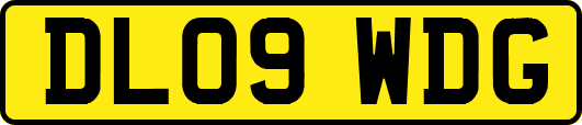 DL09WDG