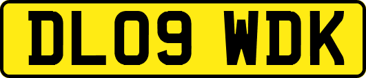 DL09WDK