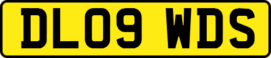 DL09WDS