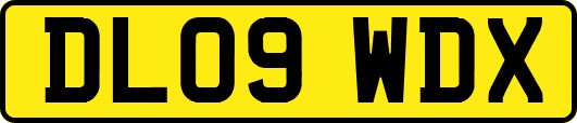DL09WDX