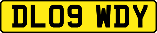 DL09WDY